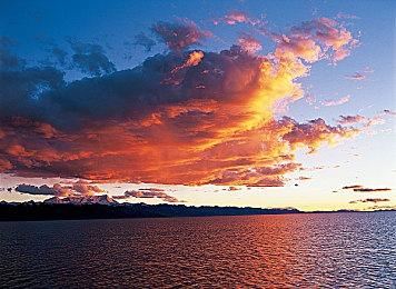 GS超低价卖《魔咒之地》：9.99美元 带预购特典